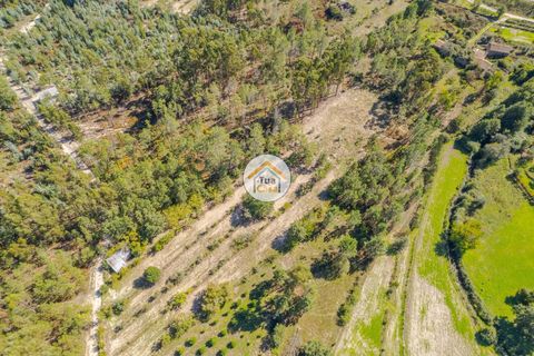 Helårsgrund i Mangualde, Viseu, Mangualde - € 17.000 | Ref: 2TC2840 - foto 8
