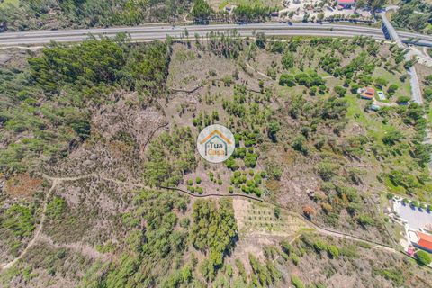 Helårsgrund i Mangualde, Viseu, Mangualde - € 37.000 | Ref: 2TC2841 - foto 4