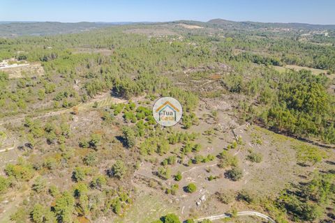 Helårsgrund i Mangualde, Viseu, Mangualde - € 37.000 | Ref: 2TC2841 - foto 5