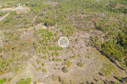 Helårsgrund i Mangualde, Viseu, Mangualde - € 37.000 | Ref: 2TC2841 - foto 6