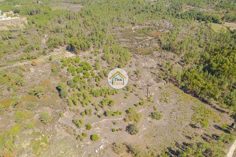 Helårsgrund i Mangualde, Viseu, Mangualde - € 37.000 | Ref: 2TC2841 - foto 7