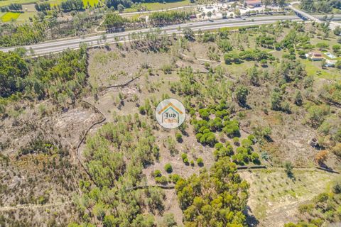 Helårsgrund i Mangualde, Viseu, Mangualde - € 37.000 | Ref: 2TC2841 - foto 8