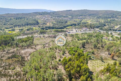 Helårsgrund i Mangualde, Viseu, Mangualde - € 37.000 | Ref: 2TC2841 - foto 9