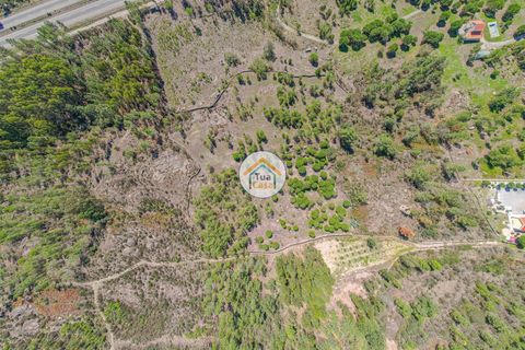 Helårsgrund i Mangualde, Viseu, Mangualde - € 37.000 | Ref: 2TC2841 - foto 10