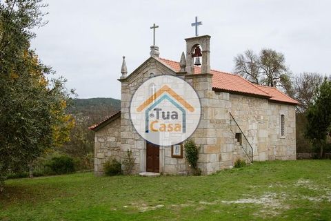 Helårsgrund i Mangualde, Viseu, Mangualde - € 37.000 | Ref: 2TC2841 - foto 11
