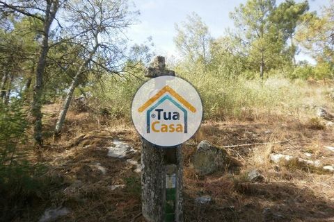 Helårsgrund i Mangualde, Viseu, Mangualde - € 37.000 | Ref: 2TC2841 - foto 16