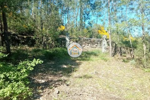 Helårsgrund i Mangualde, Viseu, Mangualde - € 37.000 | Ref: 2TC2841 - foto 17