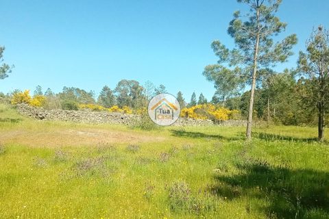 Helårsgrund i Mangualde, Viseu, Mangualde - € 37.000 | Ref: 2TC2841 - foto 18