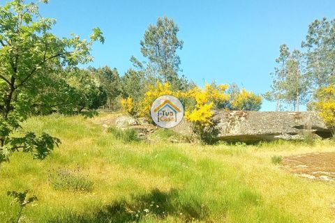 Helårsgrund i Mangualde, Viseu, Mangualde - € 37.000 | Ref: 2TC2841 - foto 19