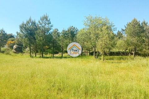 Helårsgrund i Mangualde, Viseu, Mangualde - € 37.000 | Ref: 2TC2841 - foto 20