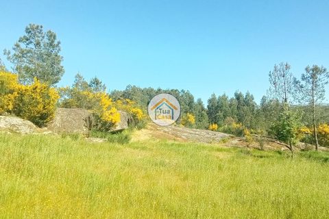 Helårsgrund i Mangualde, Viseu, Mangualde - € 37.000 | Ref: 2TC2841 - foto 21