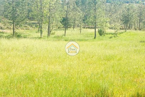 Helårsgrund i Mangualde, Viseu, Mangualde - € 37.000 | Ref: 2TC2841 - foto 22
