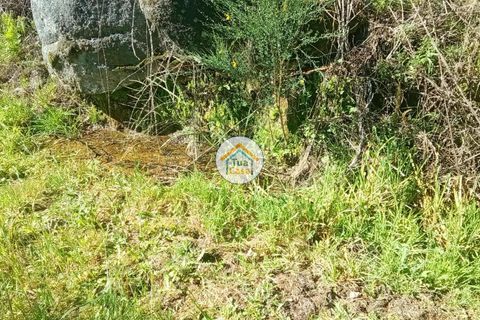 Helårsgrund i Mangualde, Viseu, Mangualde - € 37.000 | Ref: 2TC2841 - foto 23
