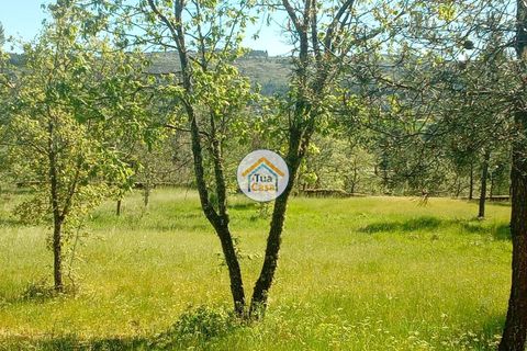 Helårsgrund i Mangualde, Viseu, Mangualde - € 37.000 | Ref: 2TC2841 - foto 24