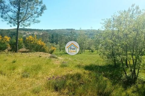 Helårsgrund i Mangualde, Viseu, Mangualde - € 37.000 | Ref: 2TC2841 - foto 25