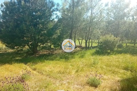 Helårsgrund i Mangualde, Viseu, Mangualde - € 37.000 | Ref: 2TC2841 - foto 26