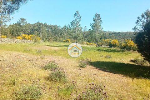 Helårsgrund i Mangualde, Viseu, Mangualde - € 37.000 | Ref: 2TC2841 - foto 27