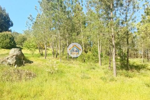 Helårsgrund i Mangualde, Viseu, Mangualde - € 37.000 | Ref: 2TC2841 - foto 28