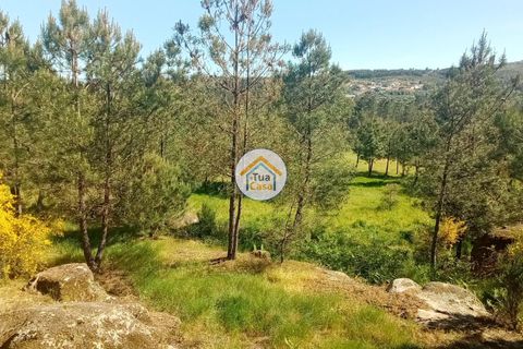 Helårsgrund i Mangualde, Viseu, Mangualde - € 37.000 | Ref: 2TC2841 - foto 30