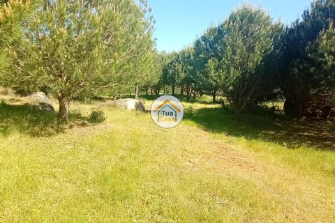 Helårsgrund i Mangualde, Viseu, Mangualde - € 37.000 | Ref: 2TC2841 - foto 32