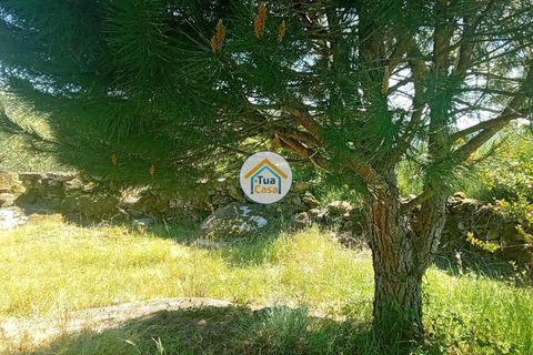 Helårsgrund i Mangualde, Viseu, Mangualde - € 37.000 | Ref: 2TC2841 - foto 33