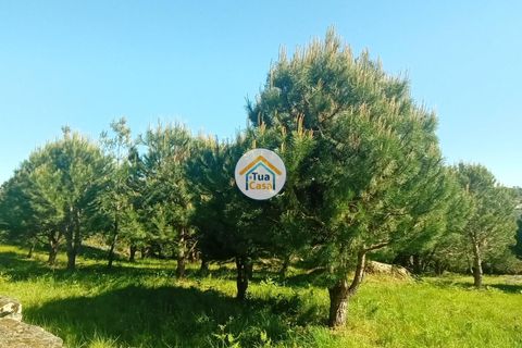 Helårsgrund i Mangualde, Viseu, Mangualde - € 37.000 | Ref: 2TC2841 - foto 35