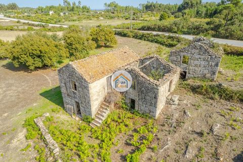 Farm i Mangualde, Viseu, Mangualde - € 82.000 | Ref: 2TC2842 - foto 4