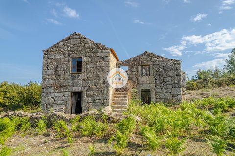 Farm i Mangualde, Viseu, Mangualde - € 82.000 | Ref: 2TC2842 - foto 5