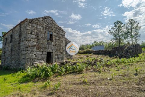 Farm i Mangualde, Viseu, Mangualde - € 82.000 | Ref: 2TC2842 - foto 6