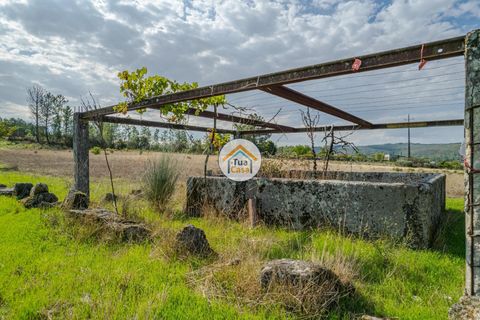 Farm i Mangualde, Viseu, Mangualde - € 82.000 | Ref: 2TC2842 - foto 7