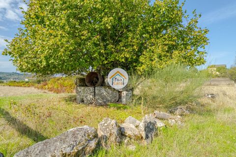 Farm i Mangualde, Viseu, Mangualde - € 82.000 | Ref: 2TC2842 - foto 8