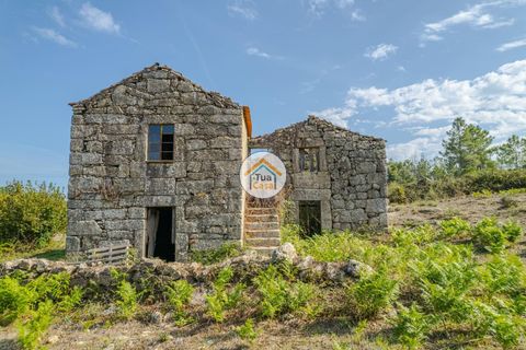 Farm i Mangualde, Viseu, Mangualde - € 82.000 | Ref: 2TC2842 - foto 9