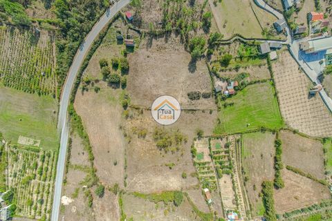 Farm i Mangualde, Viseu, Mangualde - € 82.000 | Ref: 2TC2842 - foto 10