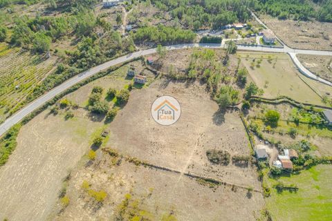 Farm i Mangualde, Viseu, Mangualde - € 82.000 | Ref: 2TC2842 - foto 11