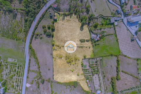 Farm i Mangualde, Viseu, Mangualde - € 82.000 | Ref: 2TC2842 - foto 12