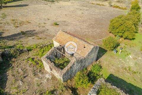 Farm i Mangualde, Viseu, Mangualde - € 82.000 | Ref: 2TC2842 - foto 13