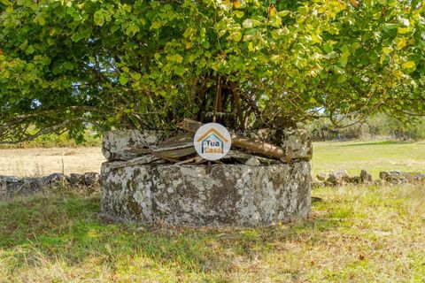 Farm i Mangualde, Viseu, Mangualde - € 82.000 | Ref: 2TC2842 - foto 14