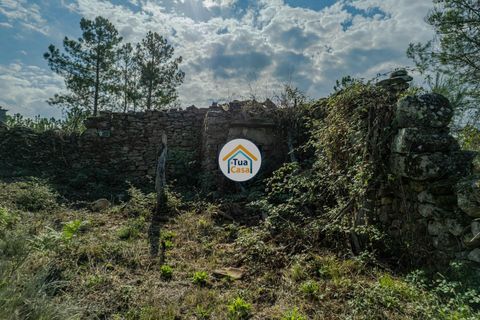 Farm i Mangualde, Viseu, Mangualde - € 82.000 | Ref: 2TC2842 - foto 15