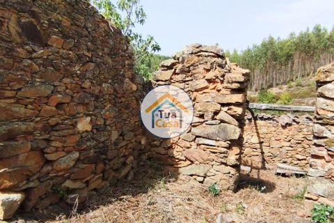 Farm i Santa Comba Dao, Viseu, Santa Comba Dao - € 37.000 | Ref: 2TC2800 - foto 6