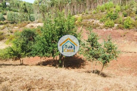 Farm i Santa Comba Dao, Viseu, Santa Comba Dao - € 37.000 | Ref: 2TC2800 - foto 7