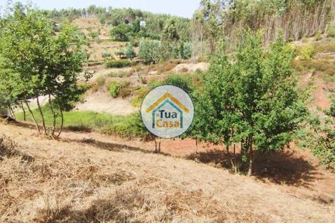 Farm i Santa Comba Dao, Viseu, Santa Comba Dao - € 37.000 | Ref: 2TC2800 - foto 8