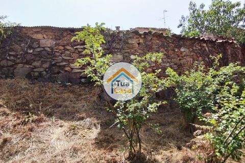 Farm i Santa Comba Dao, Viseu, Santa Comba Dao - € 37.000 | Ref: 2TC2800 - foto 10
