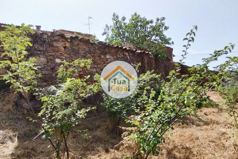 Farm i Santa Comba Dao, Viseu, Santa Comba Dao - € 37.000 | Ref: 2TC2800 - foto 11