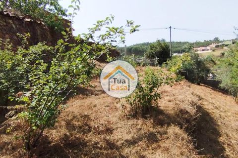 Farm i Santa Comba Dao, Viseu, Santa Comba Dao - € 37.000 | Ref: 2TC2800 - foto 12