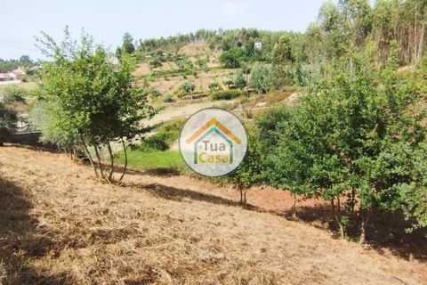 Farm i Santa Comba Dao, Viseu, Santa Comba Dao - € 37.000 | Ref: 2TC2800 - foto 13