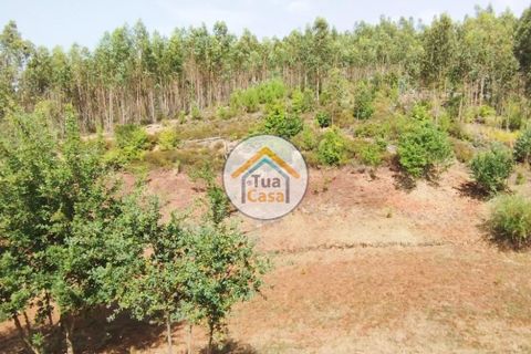 Farm i Santa Comba Dao, Viseu, Santa Comba Dao - € 37.000 | Ref: 2TC2800 - foto 14
