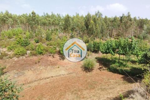 Farm i Santa Comba Dao, Viseu, Santa Comba Dao - € 37.000 | Ref: 2TC2800 - foto 15