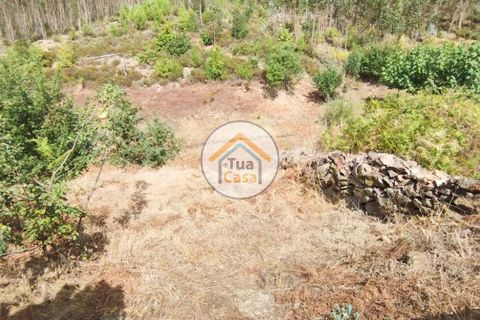 Farm i Santa Comba Dao, Viseu, Santa Comba Dao - € 37.000 | Ref: 2TC2800 - foto 17