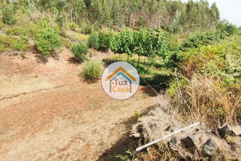 Farm i Santa Comba Dao, Viseu, Santa Comba Dao - € 37.000 | Ref: 2TC2800 - foto 18
