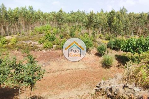 Farm i Santa Comba Dao, Viseu, Santa Comba Dao - € 37.000 | Ref: 2TC2800 - foto 19